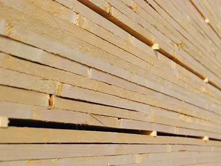 Tavole legno HT dimensioni varie e su misura - CEFIS